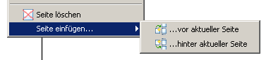 seite_einfuegen_loeschen.png seite_einfuegen_loeschen.png